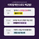 옐로우아웃헤어 이미지