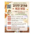 갑돈 이미지