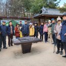 한밤의 사진편지 제 3056호(재 699회 주말걷기 후기- 류연수/25/3/16/일) 이미지