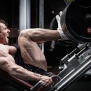 디아더짐 이미지