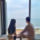㈜개미자원 | 충남 태안 가볼만한곳 핫플레이스 여행코스 인생샷 찍고 오기