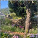 오봉리 돌담집 이미지