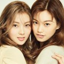 도연스포츠 이미지