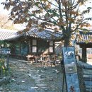 바람이 쉬어가는 집 | 가평 아침고요수목원 고즈넉한 한옥카페🍃 바람이쉬어가는마당(바당)