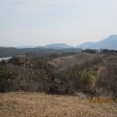 곰고개식당 이미지