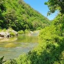 강릉 노추산 힐링캠프 이미지