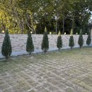 스테이 인동 이미지