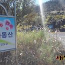 백동무궁화동산 이미지