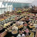 황성농장 이미지