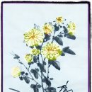 사군자 국화 이미지