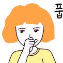 디에스에이 이미지