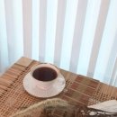 스텔라홈 이미지