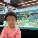 광주 수완지구 수족관카페 아쿠아타임 솔직후기! 비오는 날 주말 아이랑 실내 카페 다녀왔어요~