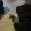 하마당구클럽 이미지