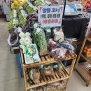 M-mart(엠마트) 네이버블로그