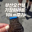 기장바다 | 2026부산오션뷰기장 바다마라톤 10km 후기
