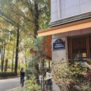 쉐프테라스 | [양재천 테라스] 이찬오 쉐프의 마누테라스 디너코스 후기