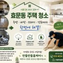 하나방역 홈케어 | 효문동 주택 청소 후기｜심한 오염과 악취, 헌집증후군·방역까지 진행한 현장