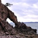 7월4일 서산 황금산 산행및 해변 트레킹 알립니다. 이미지