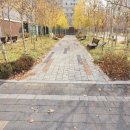 소담동_새샘308동앞BRT 네이버블로그