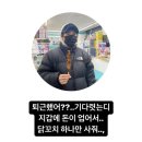 1월🐰 계묘년 새해가 밝았어요~