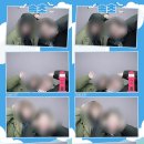 인생네컷속초중앙 네이버블로그