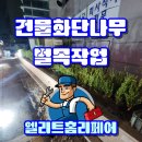 공장건물화단 나무벌목작업 및 회양목심기