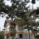 삼길포 선상어시장거리 | 충남 오션뷰 오토캠핑장 서산벌천포캠핑장 내돈내산 솔직리뷰 명당 추천 (Feat. E구역)
