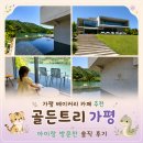 가평 베이커리 카페 추천 골든트리 아이랑 방문한 솔직 후기