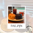 덕소중앙동물약국 | 바삭한 순간, 덕소에서 만난 따뜻한 소보로 한입 소보심 후기