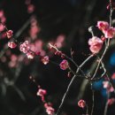 열권의책방 이미지
