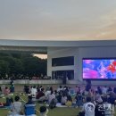 담빛시네콘서트 이미지