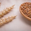 세종헬스 이미지