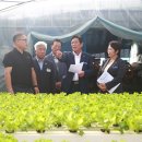 곡성삼강원 이미지