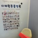 웰리스 동물병원 이미지