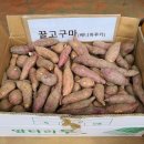 초성리가든 이미지