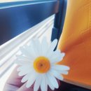 어란진초등학교 이미지