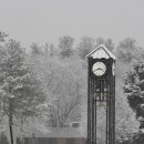 내가 주인공이다 이미지