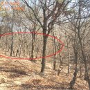 반송동251 이미지