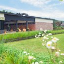 애프터눈가든 이미지