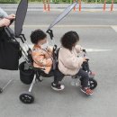 리틀장미용실 이미지
