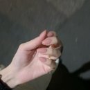 히카리네일