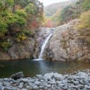 산양삼마을민박 이미지