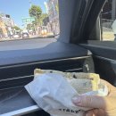 극단 탈 | [제주도] 3박4일 여행 후기(제주도일정공유, 중문호텔, 맛집추천, 사진스팟추천)