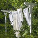 폴리크롬 이미지