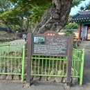 양주별산대놀이마당