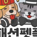 패션펫플