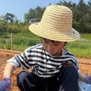 상하농장 이미지