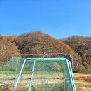 성수면 야구장 티스토리