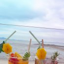 트래블지2 이미지